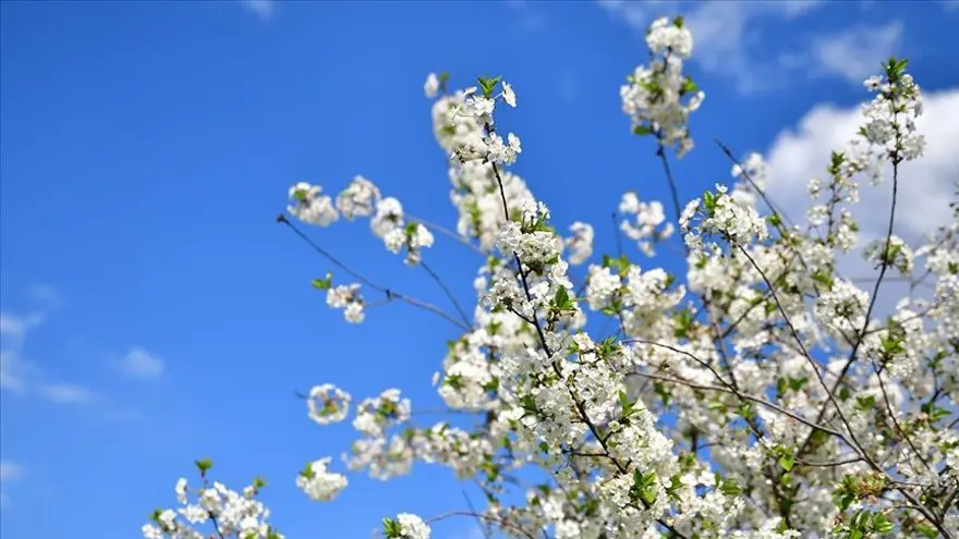 NEVRUZ BAYRAMI'NIN KÖKENİ HAKKINDA 2 NEVRUZ BAYRAMI'NIN KÖKENİ HAKKINDA 2