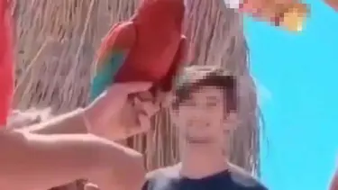 Aydın'da papağana alkol içirildiği iddiası