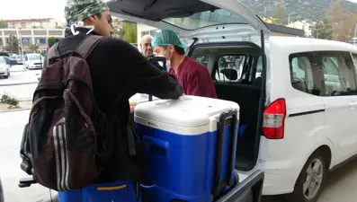 Kazada hayatını kaybeden Sude'nin organları 4 hastaya umut oldu