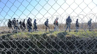 AB sığınmacıların gözaltına alınmasını istedi