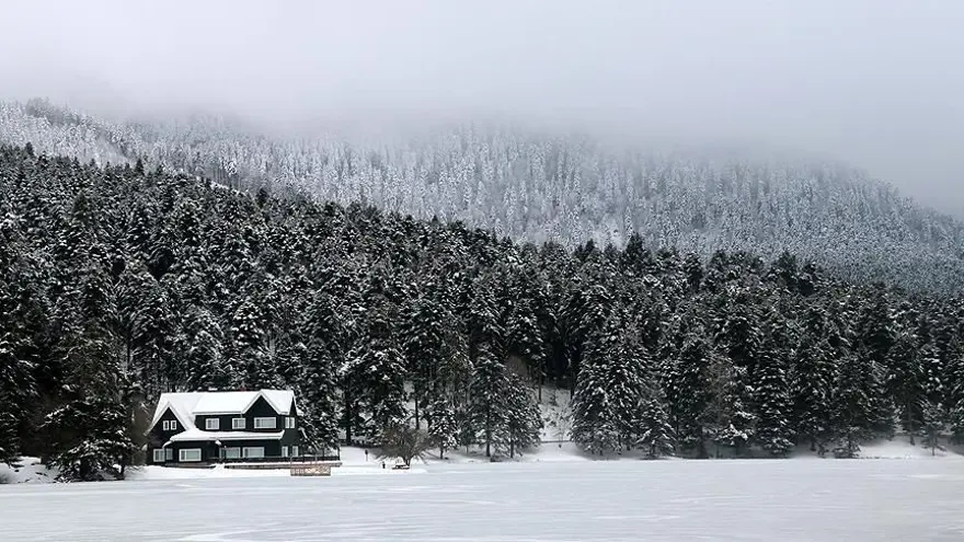 DOĞA HARİKASI GÖLCÜK, ABANT VE YEDİGÖLLER 6