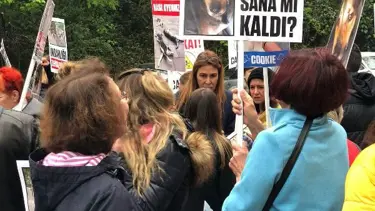 3 köpeğin zehirlenerek öldürülmesine protesto