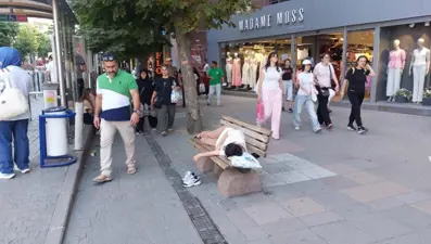 Sıcaktan bunaldı, bankta uyudu