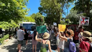 Adalar'da minibüs tepkisi sürüyor