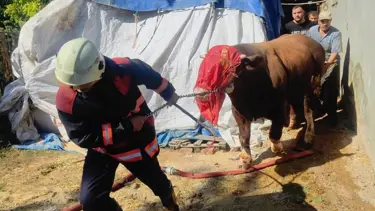Malatya'da ahırda yangın paniği