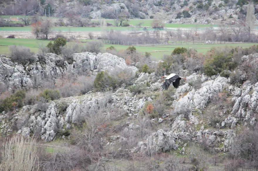 Leyleklere BBG evi 4 Leyleklere BBG evi 4