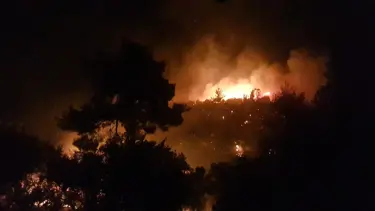 Antalya'da orman yangını
