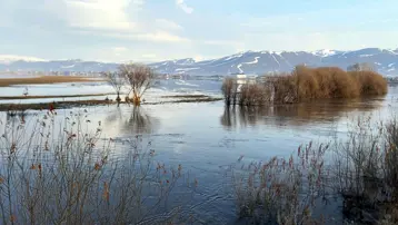 Kura Nehri taştı, ova göle döndü!