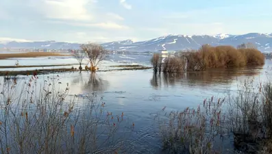 Kura Nehri taştı, ova göle döndü!