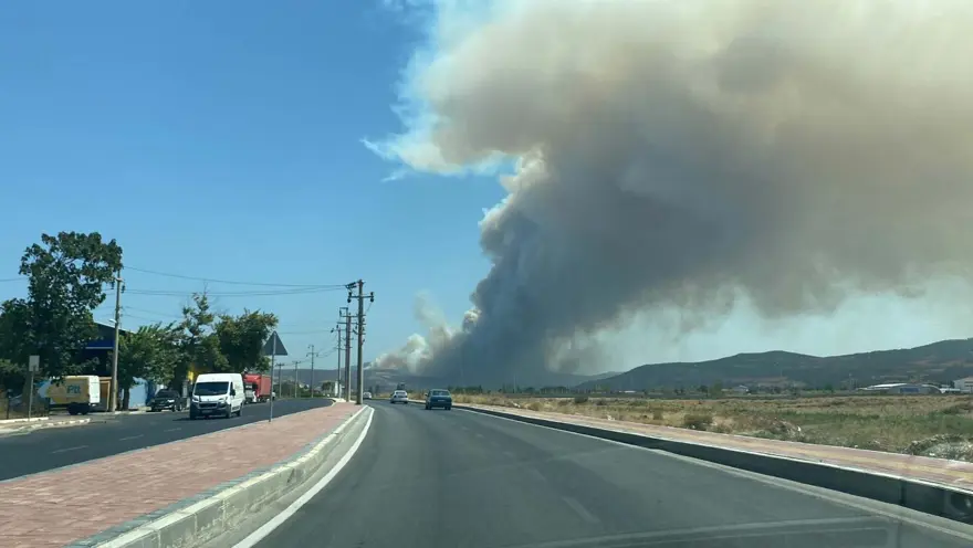 Çanakkale'de orman yangını kontrol altında 76