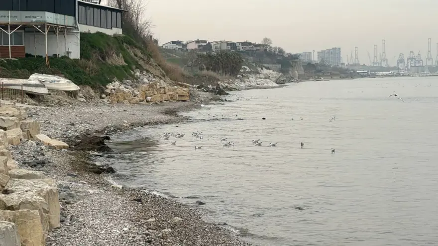Beylikdüzü'nde kanalizasyon suyu denize aktı 5