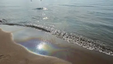 Bartın'da denizde kirlilik ve mazot kokusu: İnceleme başlatıldı