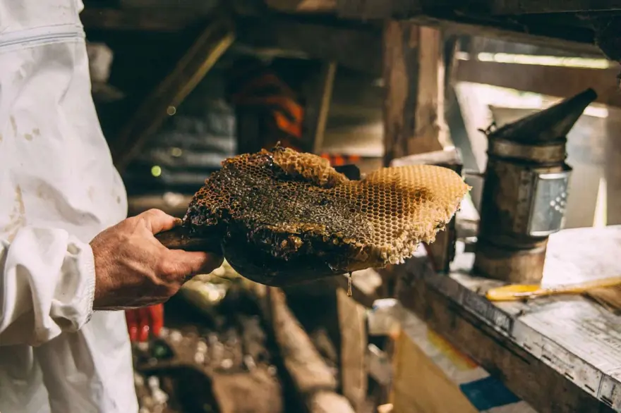 TARİHİ 17'NCİ YÜZYILA DAYANIYOR 3