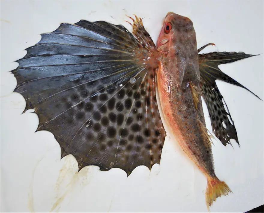 “SON 25 YILDA HIZLANDI” 2