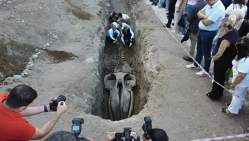 Mersin'de heyecanlandıran keşif! 16 metrelik balina ortaya çıkıyor