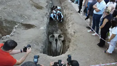 Mersin'de heyecanlandıran keşif! 16 metrelik balina ortaya çıkıyor