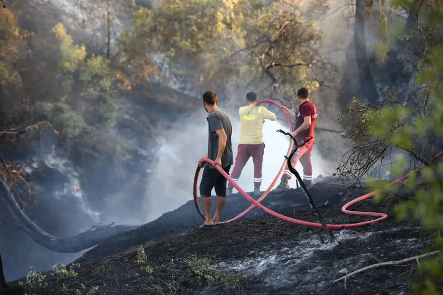 Muğla, Bingöl ve Adana'da orman yangını 4