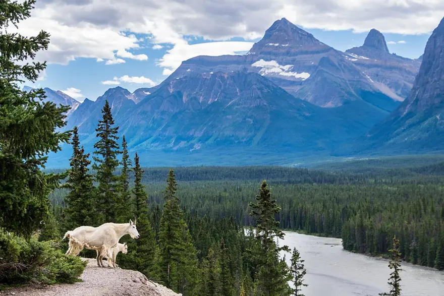 en güzel doğa manzaralar, dünyadan doğal güzellikler, Banff Milli Parkı, dağ manzarası, Doğa, Doğa harikaları, dolomites, göl manzarası, Hawaii, İsviçre, İtalya, Kanada, Kromlauer Park, lost lake, oregon, red beach 5