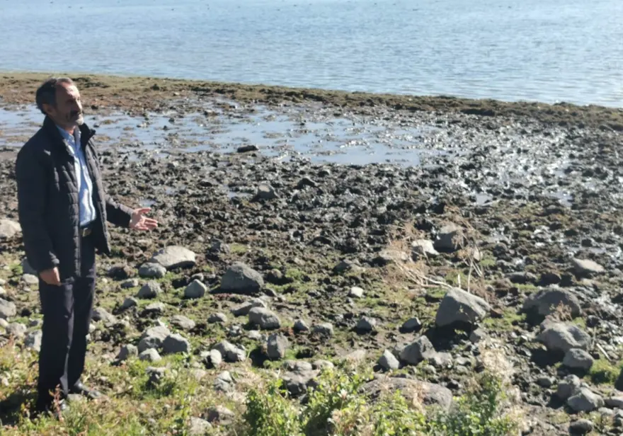 Çıldır Gölü'nde de sular çekildi 8