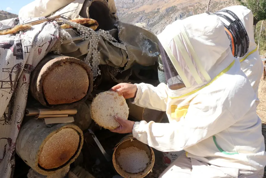 51 yaşında Ata toprağında 2,5 ton üretiyor: Ailesiyle yalnız yaşadığı köyde yapıyor 7