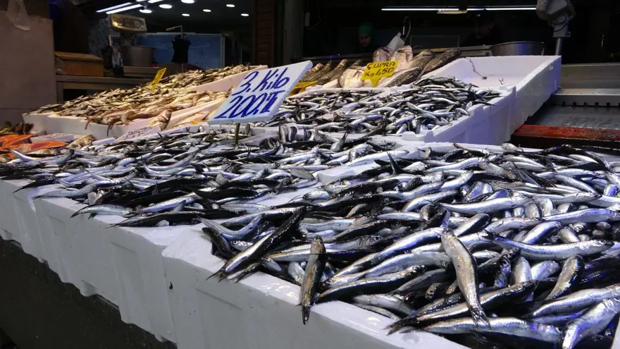 3 kilosu 200 TL'ye düştü, yoğun ilgi var: Tuzlama zamanı başladı 6 3 kilosu 200 TL'ye düştü, yoğun ilgi var: Tuzlama zamanı başladı 6