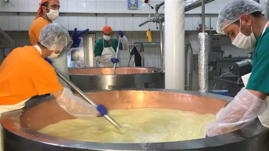 Kars'ta dünyaca ünlü gravyer peynirinin üretimine başlandı 13