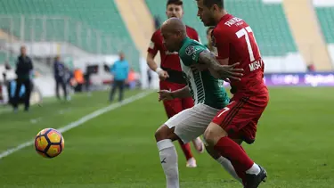 Timsah 7 hafta sonra canlandı!