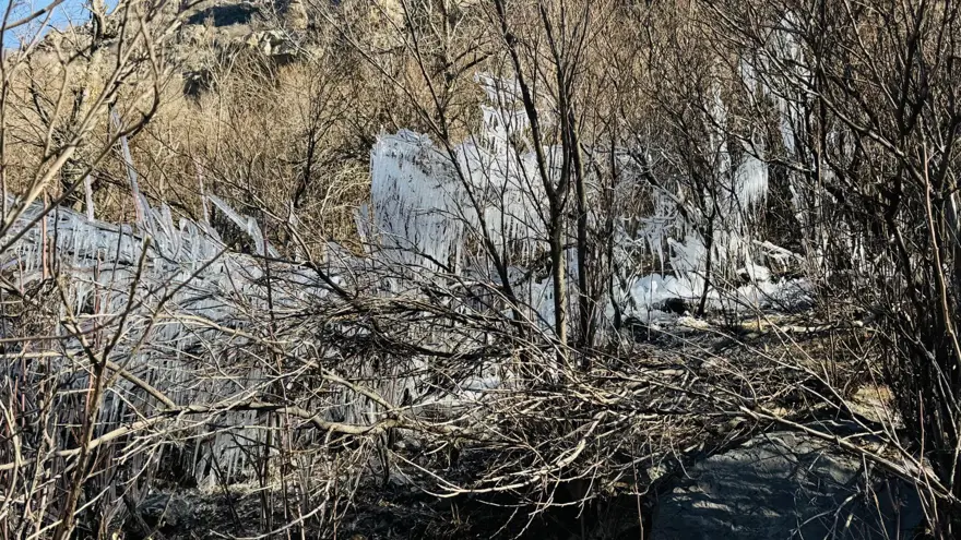 Şırnak'ta hava sıcaklığı eksi 10 dereceye düştü: Ağaçlarda buz sarkıtları oluştu 3