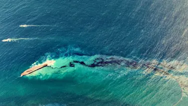 Trinidad ve Tobago Başbakanı: Karayipler'deki petrol sızıntısı "ulusal acil durum"a yol açtı