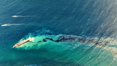 Trinidad ve Tobago Başbakanı: Karayipler'deki petrol sızıntısı "ulusal acil durum"a yol açtı