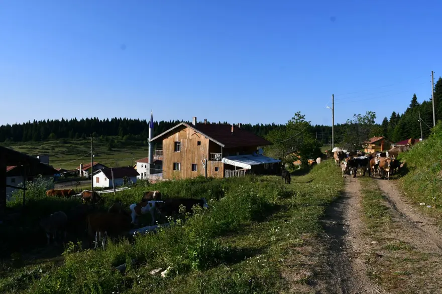 Asırlardır en büyük geçim kaynağı: Eşsiz doğa manzarasına sahip 6