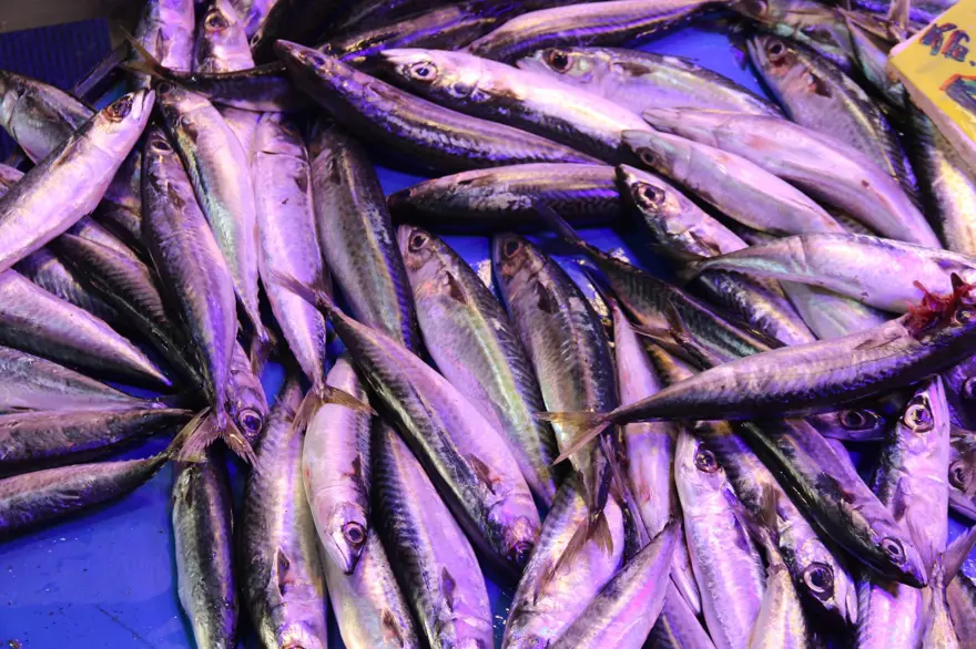 Müşteriyi balıkla dövdüler: İade etmek istedi, parmağından oldu 1