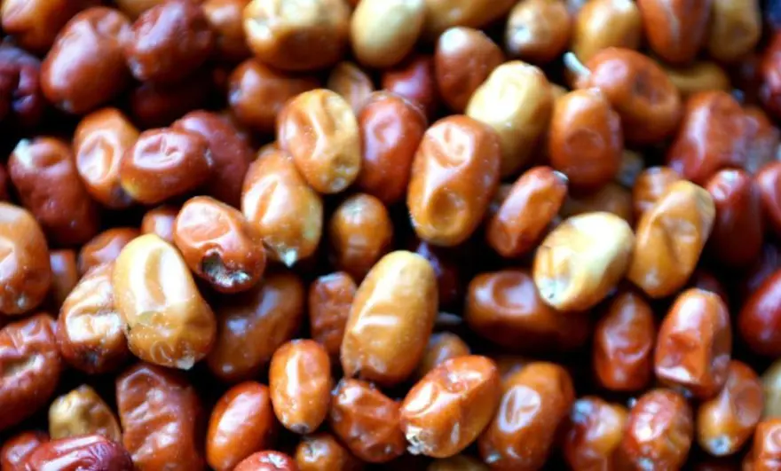 Türkiye'nin her yerinde doğal olarak yetişiyor! Kan şekerini dengeleyip kalbi ve damarları koruyor: Potasyum ve kalsiyum zengini 5 Türkiye'nin her yerinde doğal olarak yetişiyor! Kan şekerini dengeleyip kalbi ve damarları koruyor: Potasyum ve kalsiyum zengini 5