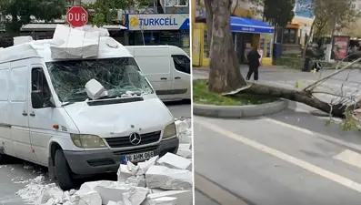 Bursa'yı lodos vurdu: Ağaçlar devrildi, teleferik seferleri durdu