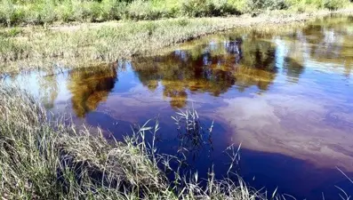 Kızılırmak'ta tedirgin eden görüntü | Valilikten açıklama