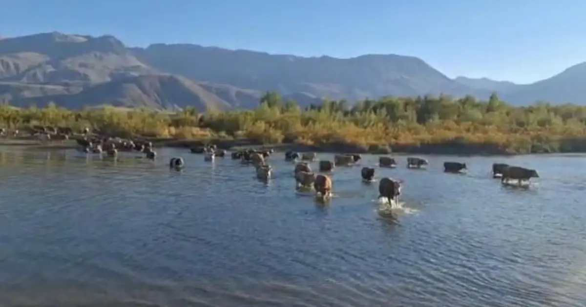 Erzincan’da kuraklığın fotoğrafı
