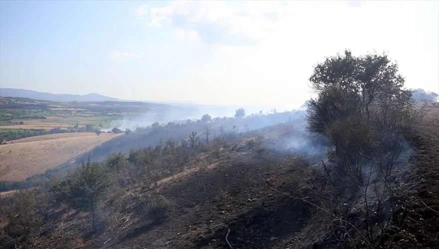 Çanakkale'deki orman yangını kontrol altına alındı 8