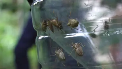 Profesör Kadıoğlu uyardı: Tropikal hastalıklar artacak