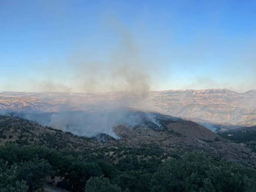 Adıyaman’da yangın: Bir anda büyüdü, ekiplerin müdahalesisürüyor 2