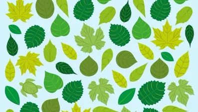 Bu basit testi çözün, 'içine kapanık mısınız, dışa dönük mü' öğrenin