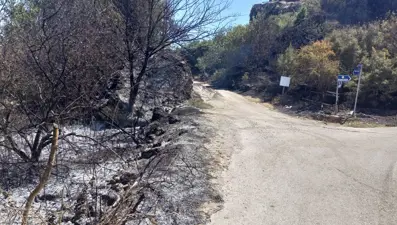 Antalya Aksu'da otluk alanda yangın