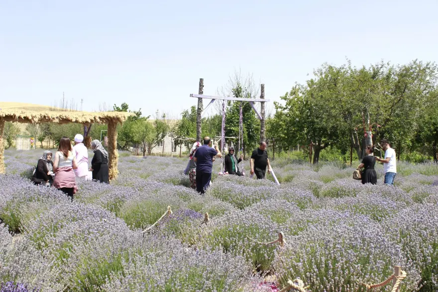 "Yozgat'ta yetişmez" diyenlere kulak asmadı: Şimdi başarısıyla ilham oluyor 4 "Yozgat'ta yetişmez" diyenlere kulak asmadı: Şimdi başarısıyla ilham oluyor 4
