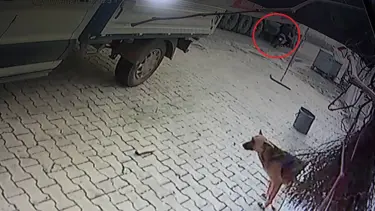 Motosikletiyle TIR'ın altında kaldı
