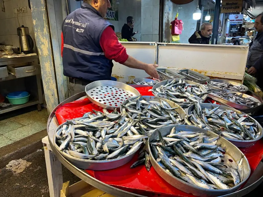 Tezgahlarda fırtına etkisi: Balık fiyatlarına yansıdı 1 Tezgahlarda fırtına etkisi: Balık fiyatlarına yansıdı 1