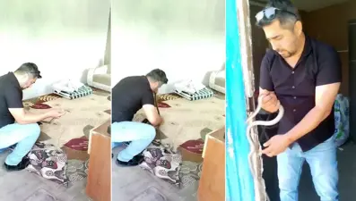 'Yılancı Kemal' iş başında: Hiçbir koruyucu takmadı, 1 metrelik yılanı elleriyle yakaladı