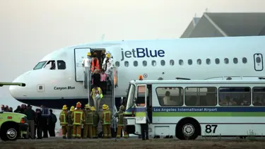 ABD'de kuşlara çarpan uçak acil iniş yaptı