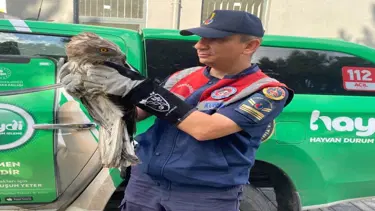 Çorum'da jandarma kaçak avcılara göz açtırmadı