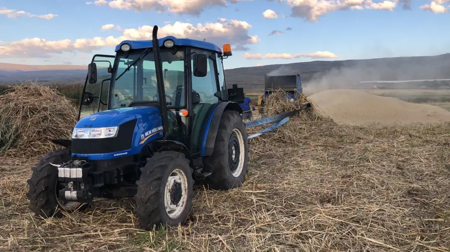 Çıldır Gölü kenarındaki kamışlardan saman üretiyorlar 5