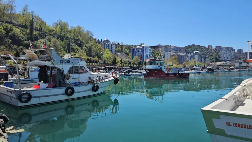 Balıkçılar bu sezon boş geçti 8