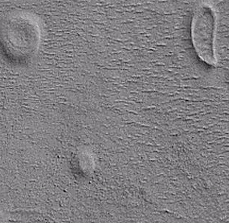 NASA, GIF arşivini herkese açtı 34
